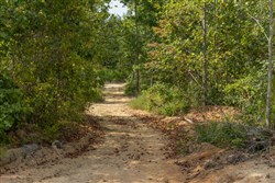 Big White Oak Tract 70