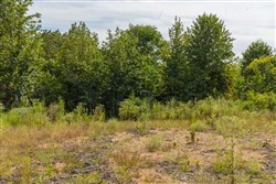Big White Oak Tract 70