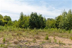 Big White Oak Tract 70