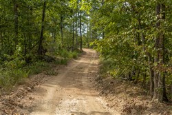 Big White Oak Tract 71