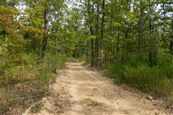 Big White Oak Tract 71