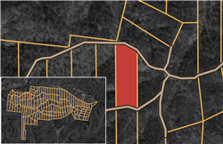 Big White Oak Tract 71