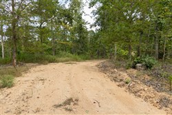 Big White Oak Tract 72