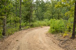 Big White Oak Tract 72