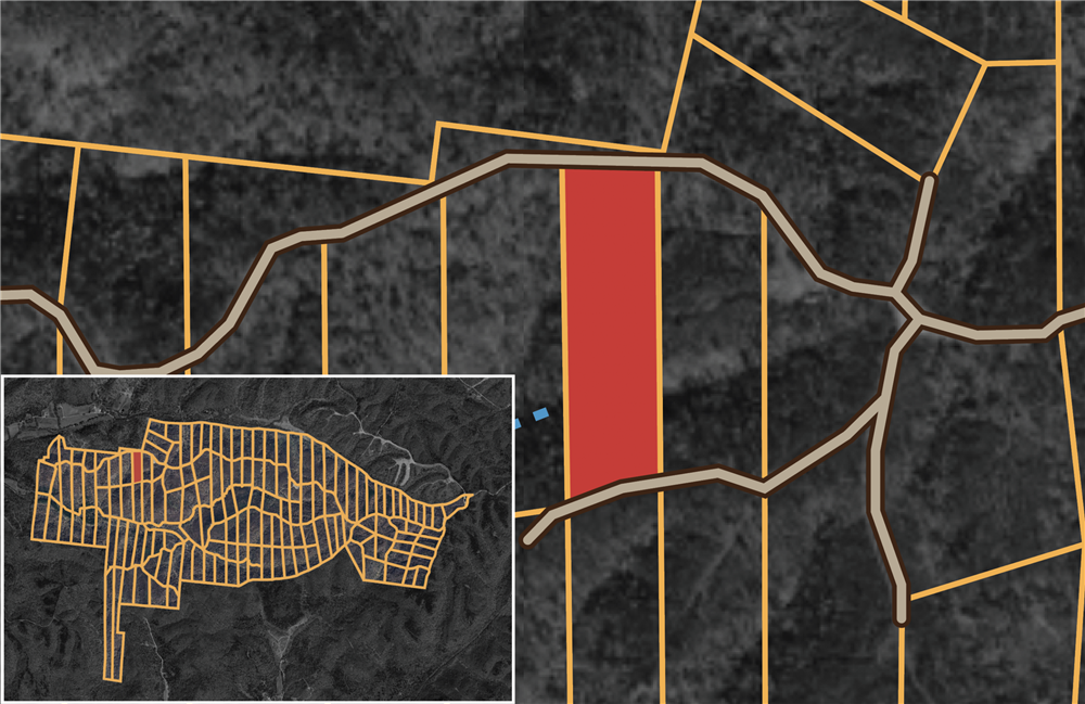 Big White Oak Tract 72 - Primary