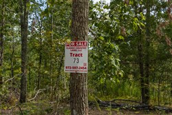 Big White Oak Tract 73