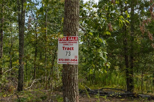 Big White Oak Tract 73