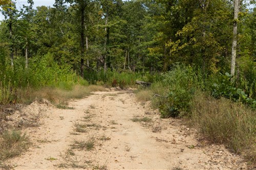 Big White Oak Tract 73
