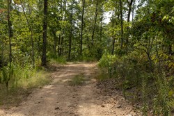 Big White Oak Tract 73