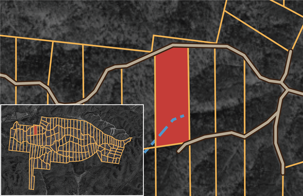 Big White Oak Tract 73 - Primary