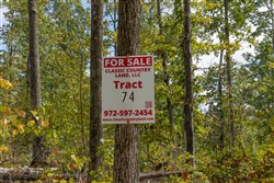 Big White Oak Tract 74