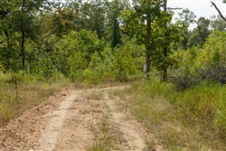 Big White Oak Tract 74