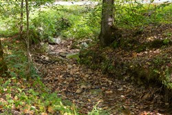 Big White Oak Tract 74