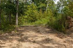 Big White Oak Tract 74