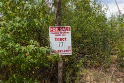 Big White Oak Tract 77