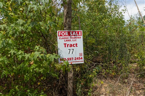 Big White Oak Tract 77
