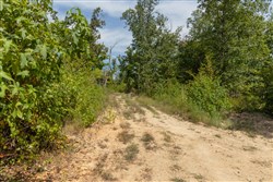 Big White Oak Tract 77