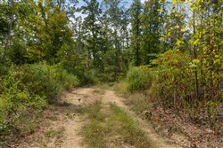 Big White Oak Tract 78