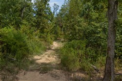 Big White Oak Tract 78