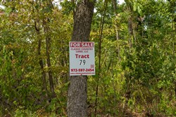 Big White Oak Tract 79