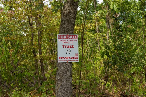 Big White Oak Tract 79
