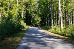 Big White Oak Tract 8