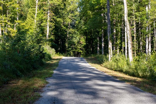 Big White Oak Tract 8