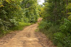 Big White Oak Tract 8