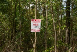Big White Oak Tract 80