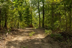 Big White Oak Tract 80