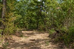 Big White Oak Tract 80