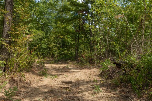 Big White Oak Tract 80