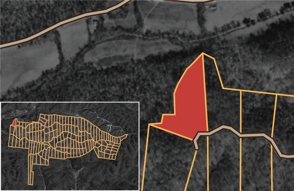 Big White Oak Tract 80 - Primary