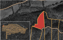 Big White Oak Tract 80