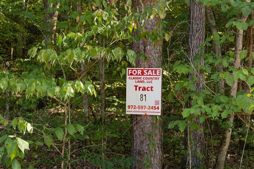 Big White Oak Tract 81