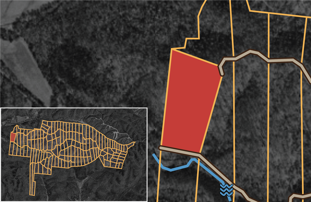 Big White Oak Tract 81 - Primary