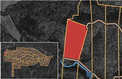 Big White Oak Tract 81