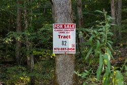 Big White Oak Tract 82