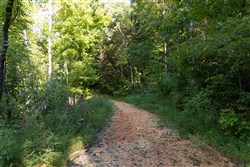 Big White Oak Tract 82