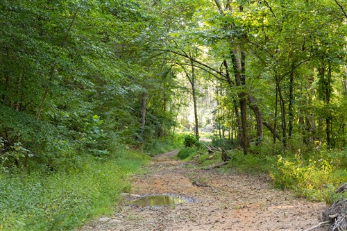 Big White Oak Tract 82
