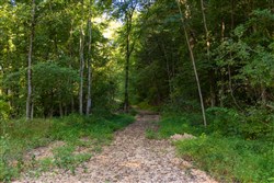Big White Oak Tract 82