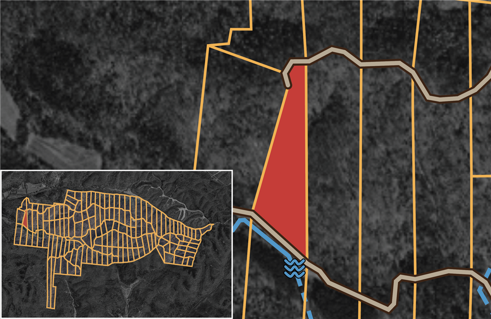 Big White Oak Tract 82 - Primary