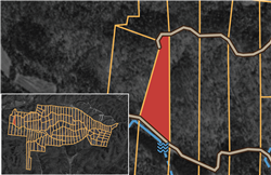 Big White Oak Tract 82