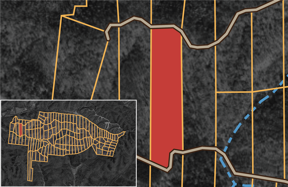 Big White Oak Tract 84 - Primary
