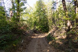 Big White Oak Tract 85