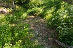 Big White Oak Tract 86