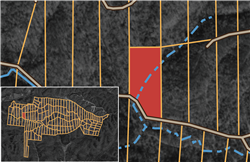 Big White Oak Tract 86
