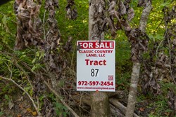 Big White Oak Tract 87