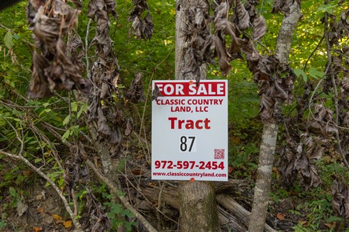 Big White Oak Tract 87
