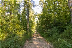 Big White Oak Tract 87
